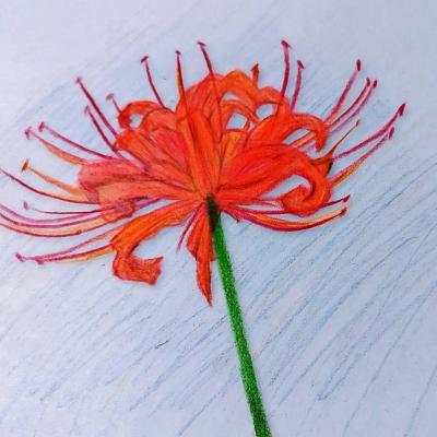 まおち