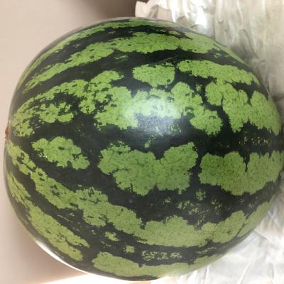 ひろ