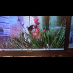 Pieceに添付された画像