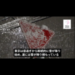 Pieceに添付された画像