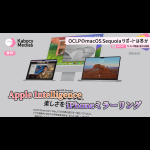 Pieceに添付された画像